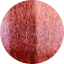 #7C2778