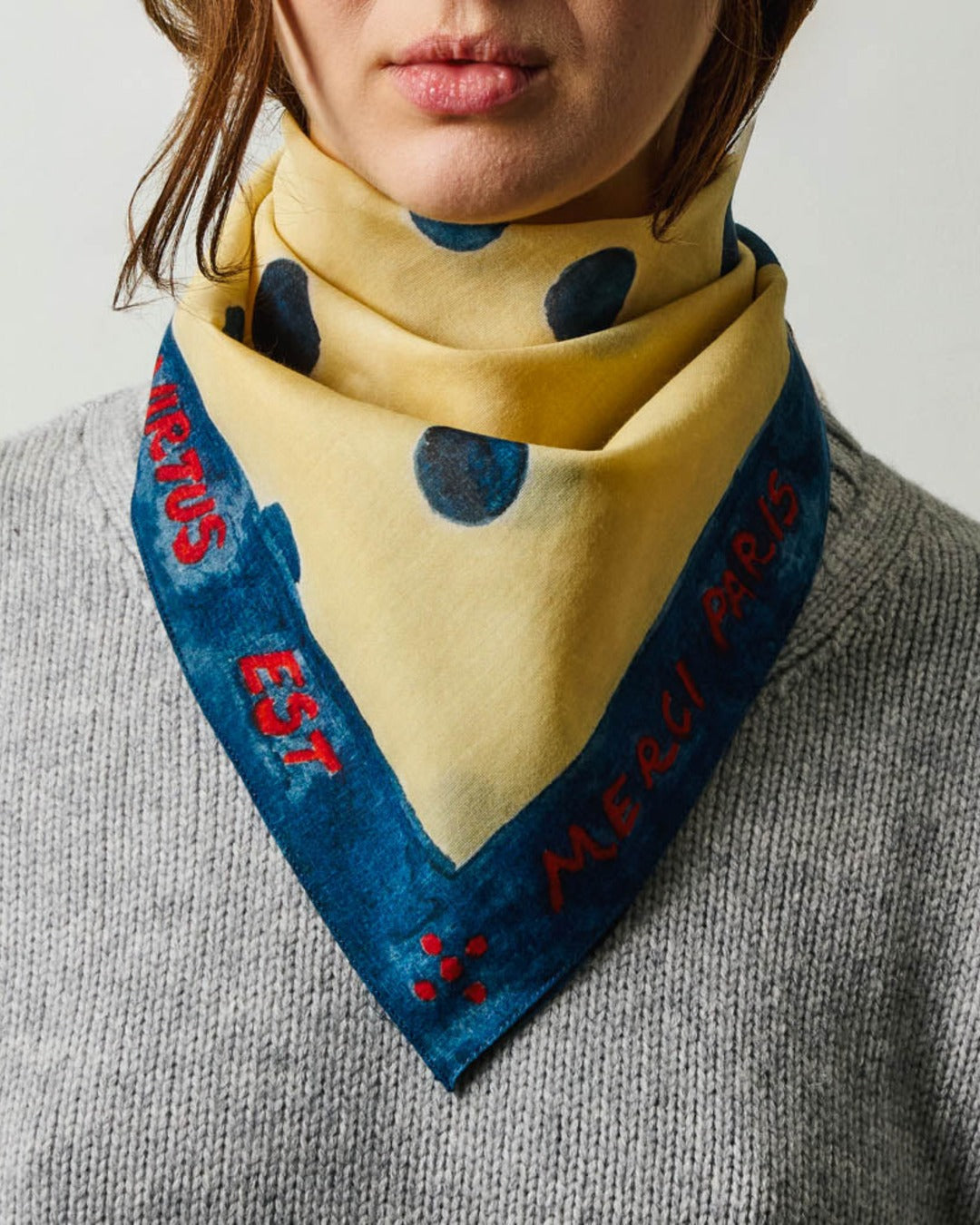 Merci - Ars Vivendi Virtus Est Bandana - Navy
