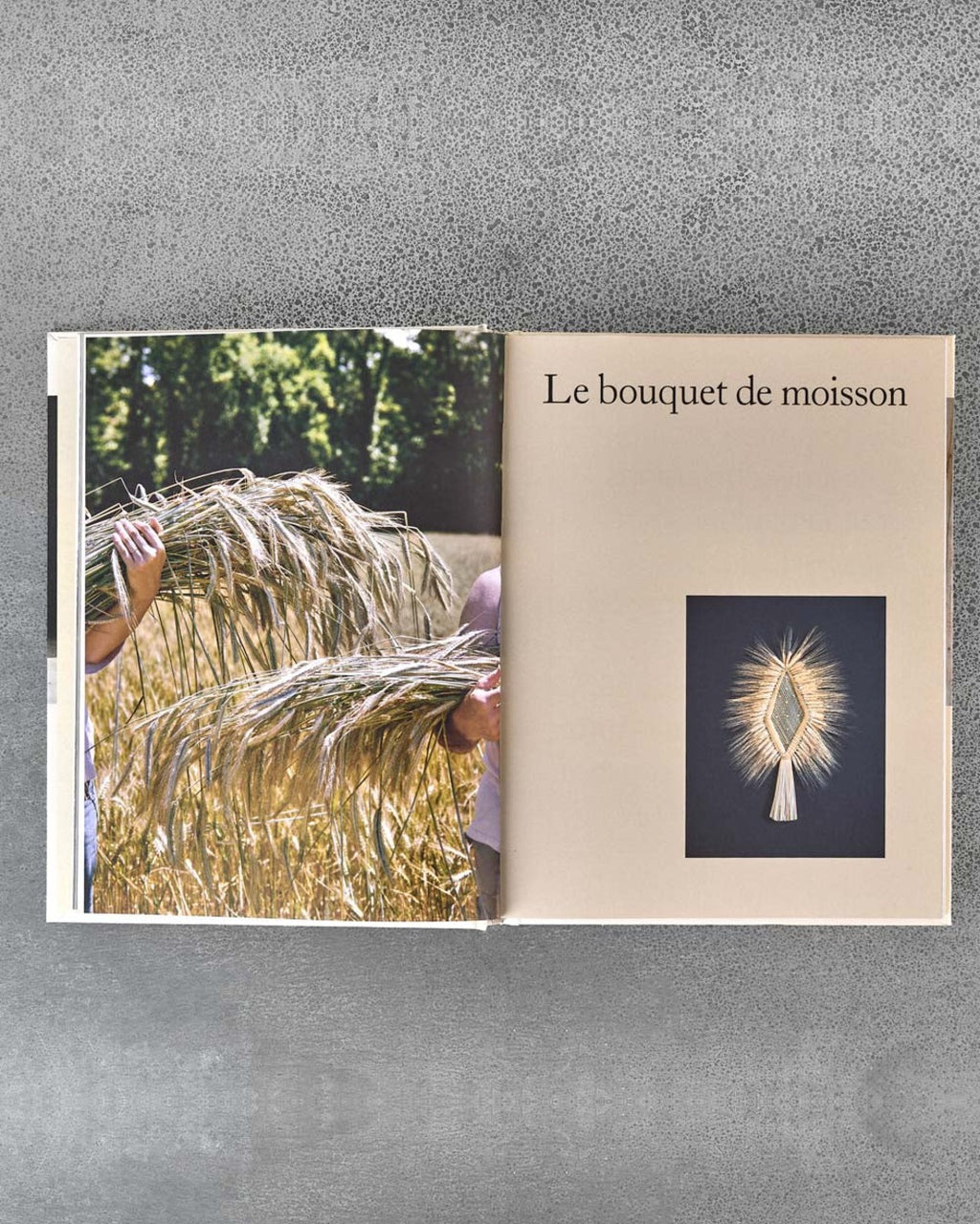 Ulmer - Livre Savoir & Faire