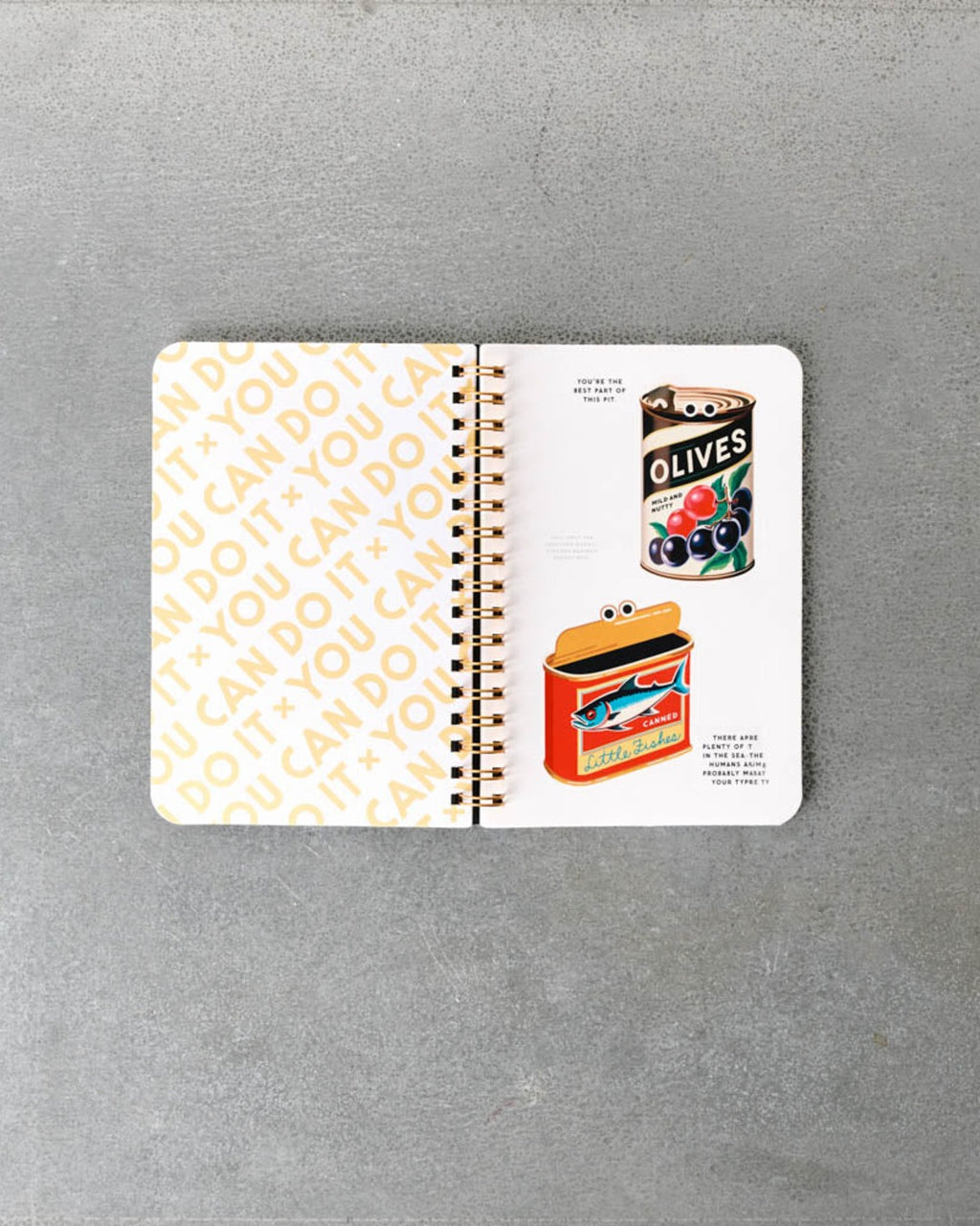 Livre - You Can Do It Googly Sticker Book