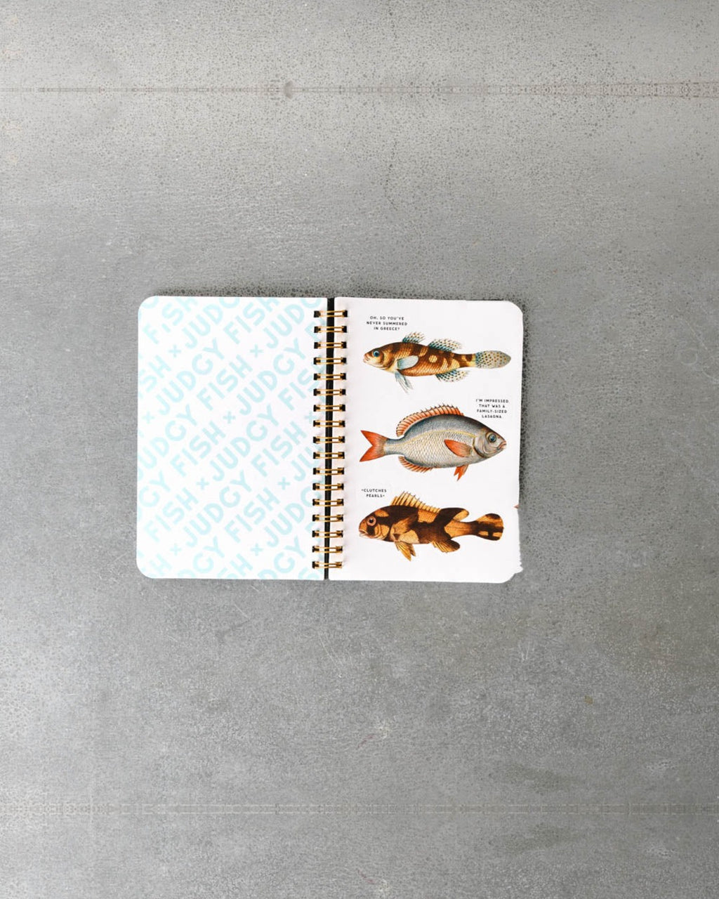 Livre - Judgy Fish Sticker Book
