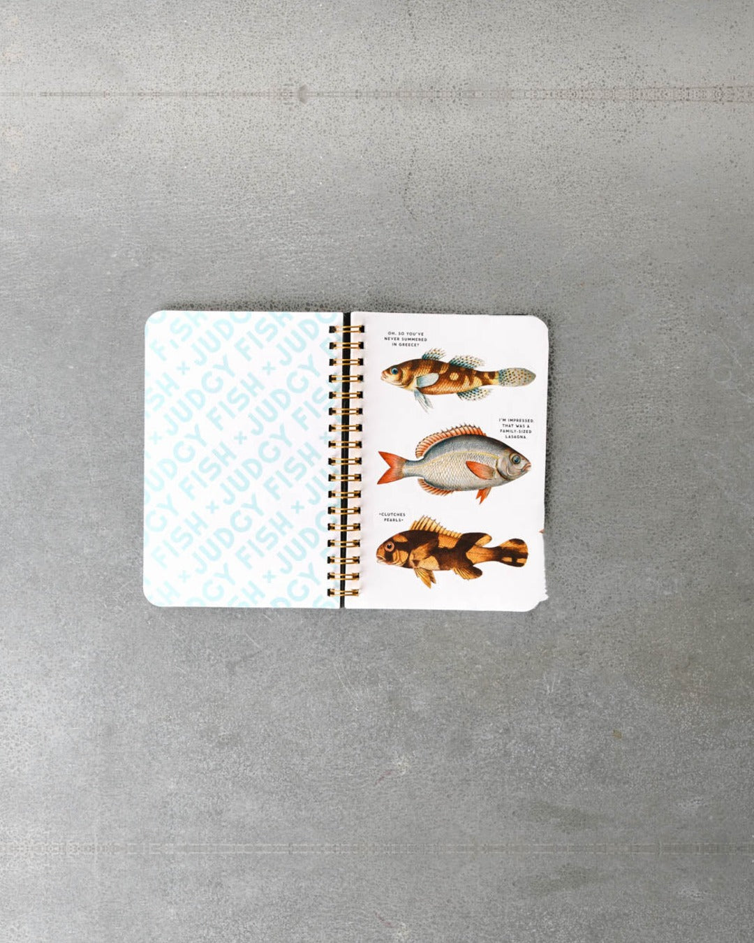 Livre - Judgy Fish Sticker Book