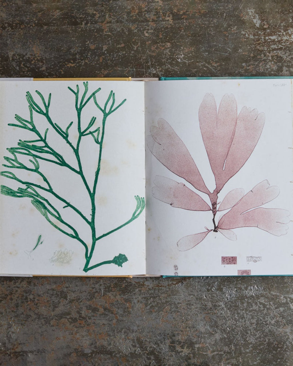Livre - John Deran Stickers Book