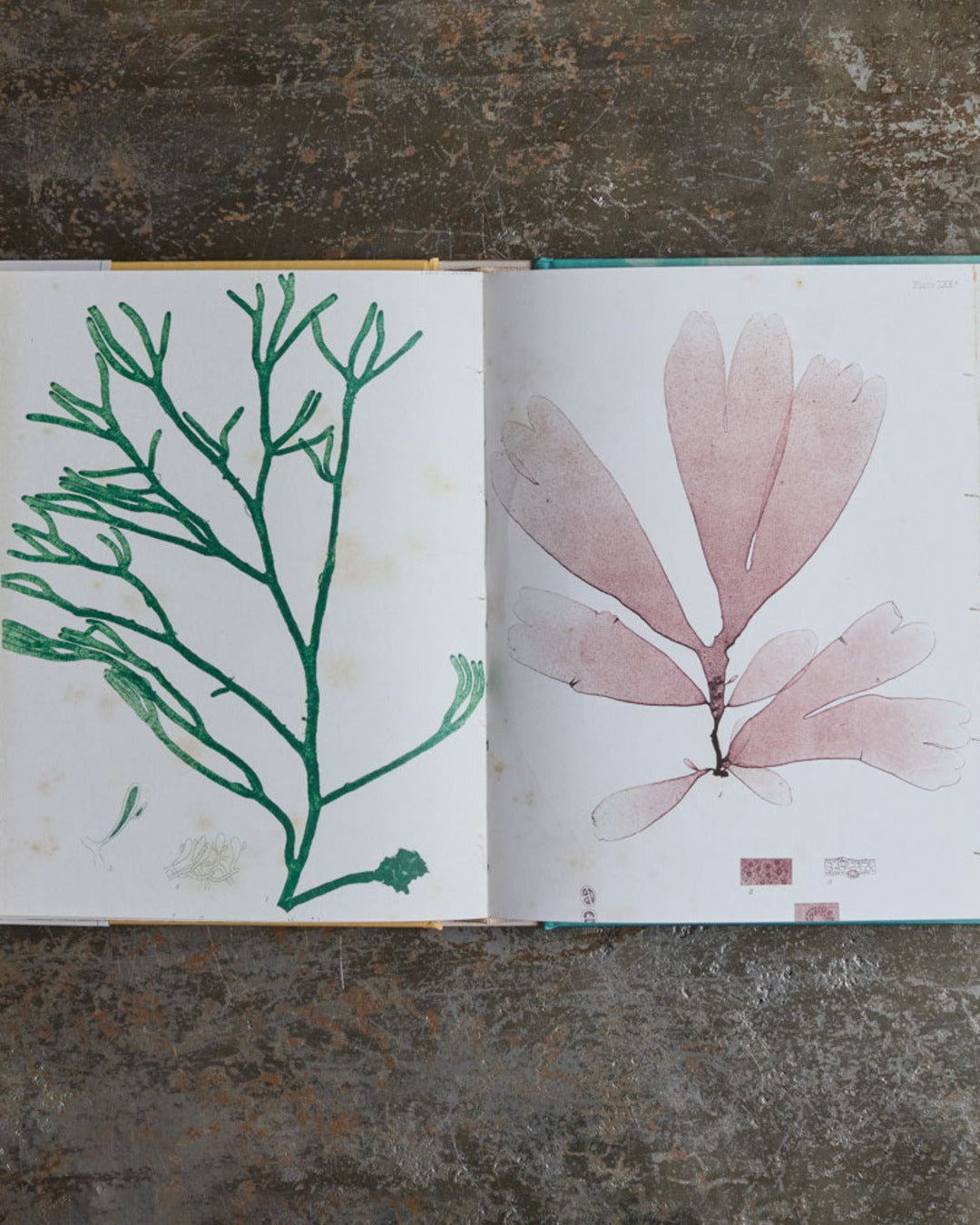 Livre - John Deran Stickers Book