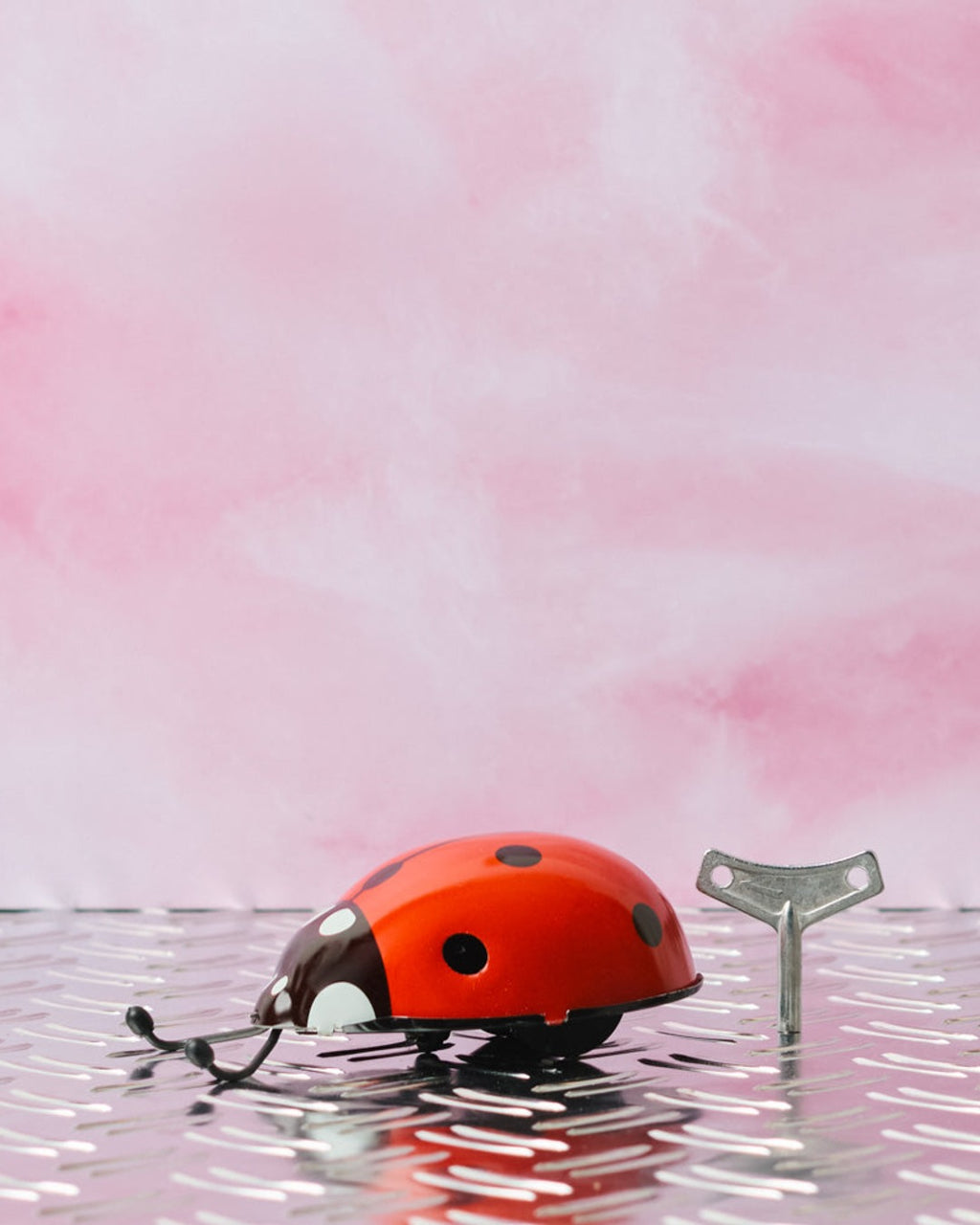Die Blechfabrik - Jouet - Coccinelle Rouge