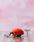 Die Blechfabrik - Jouet - Coccinelle Rouge