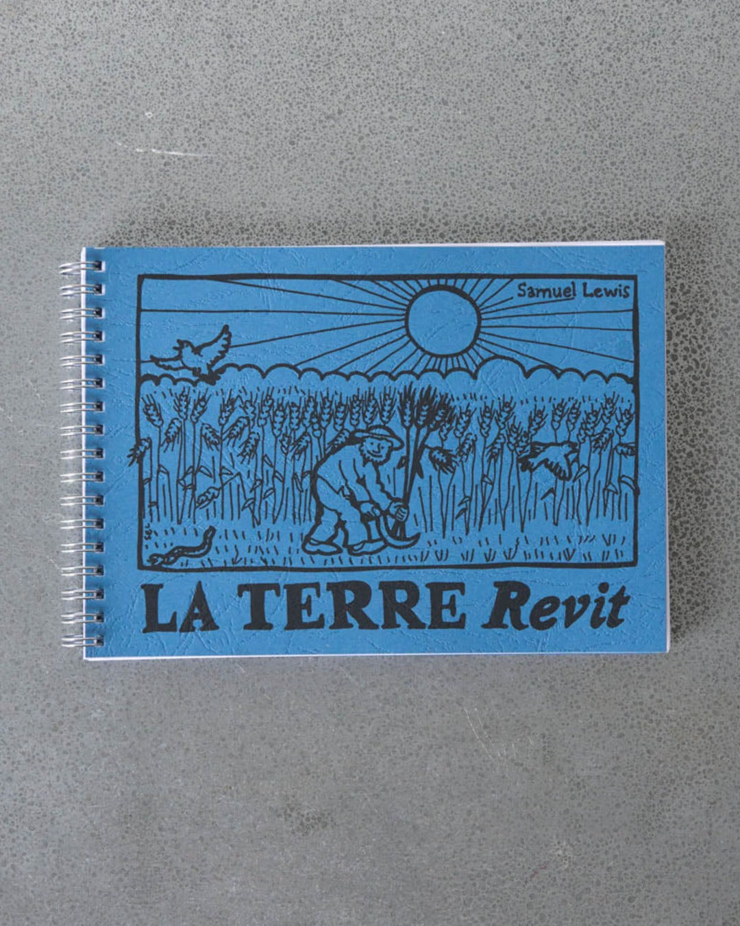 Hoe Farming - Livre La Terre Revit