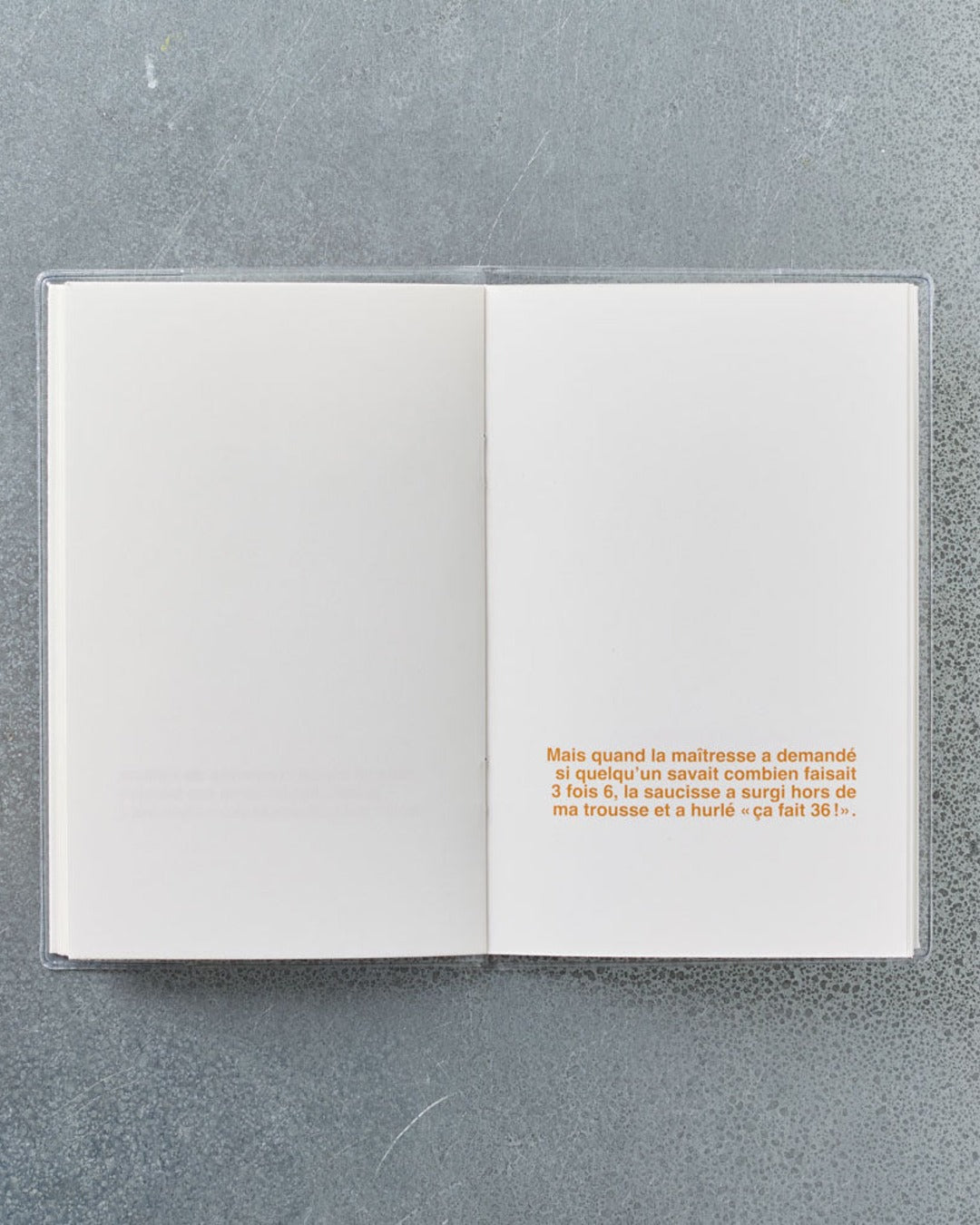 Supereditions - Illustrated book - La Saucisse Magique