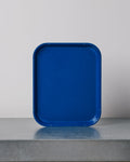 Cambro - Fibreglass tray - Amazon Blue