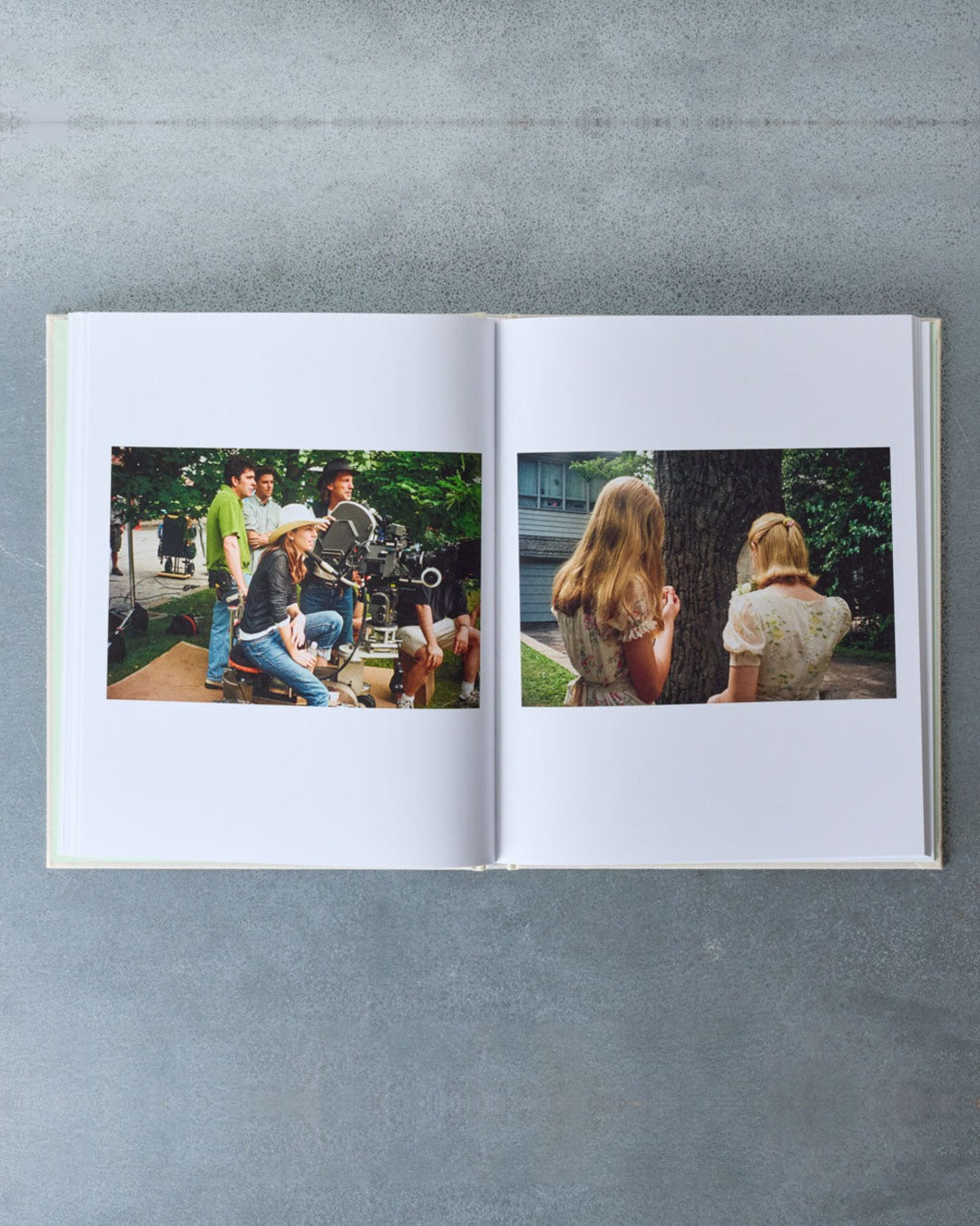 Book - The Virgin Suicides