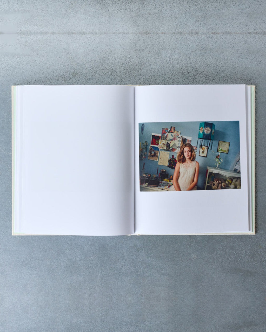 Book - The Virgin Suicides