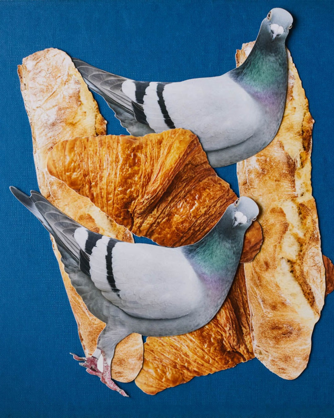 Merci - Postcard Merci - Pigeon
