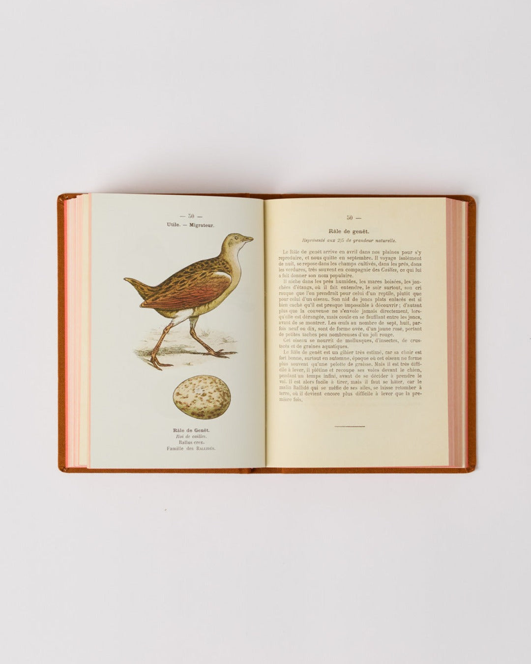 Bibliomane - Livre Atlas Oiseaux De France