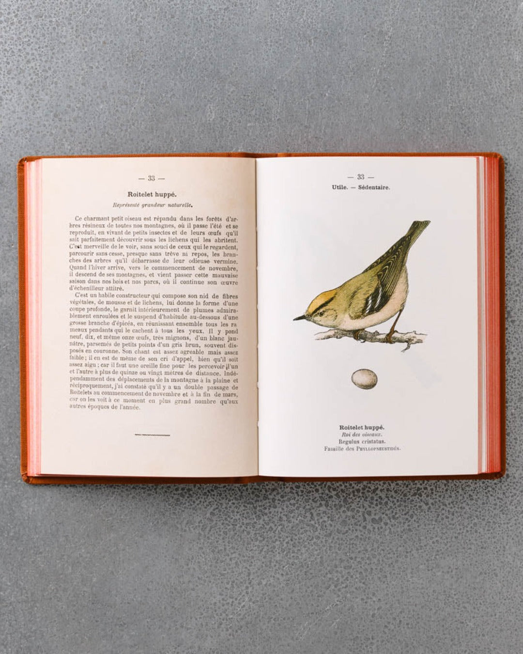 Bibliomane - Atlas Book - Birds of France