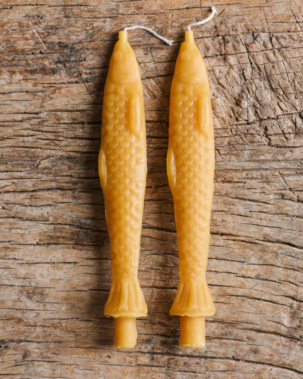 Tinned Candle - Bougie Poisson