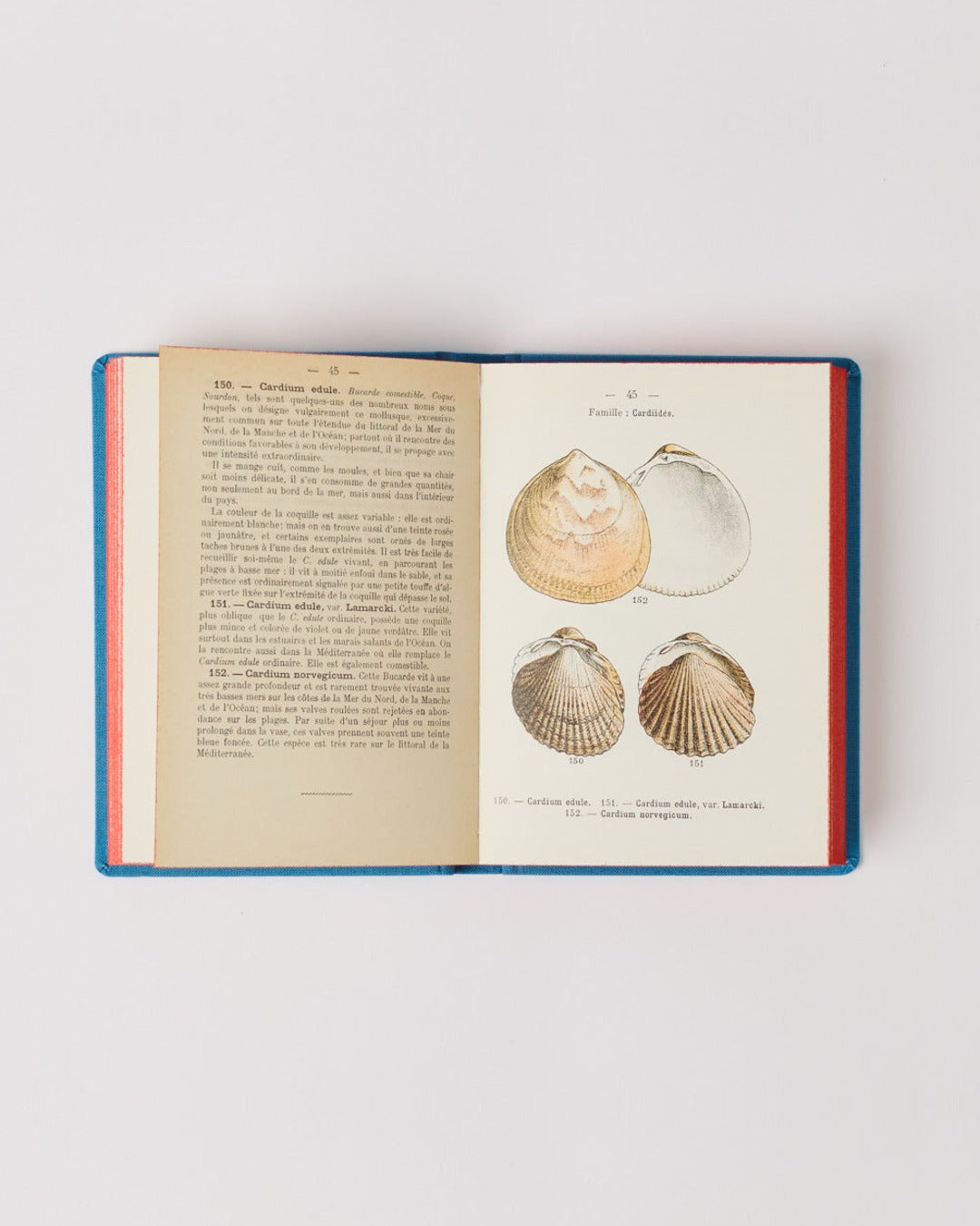 Bibliomane - Livre Atlas Coquilles Des Côtes