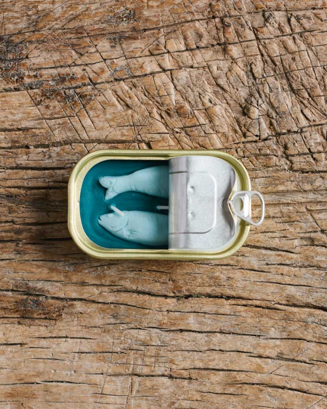 Tinned Candle - Fish Candle - Juniper