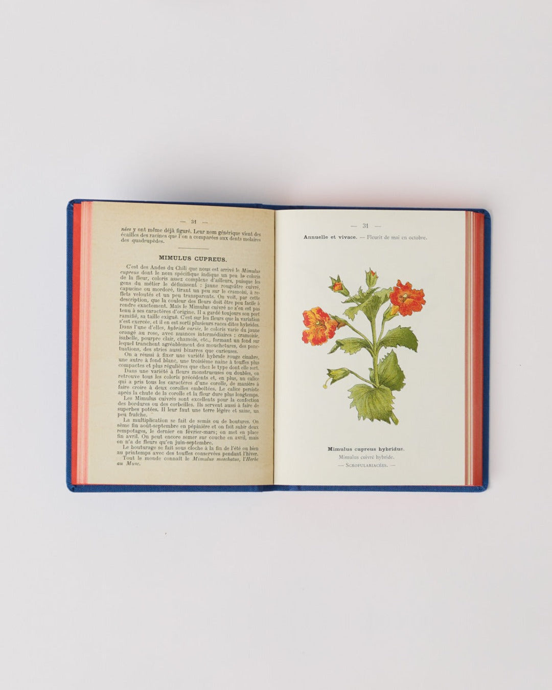 Bibliomane - Livre Atlas Fleurs De Jardins