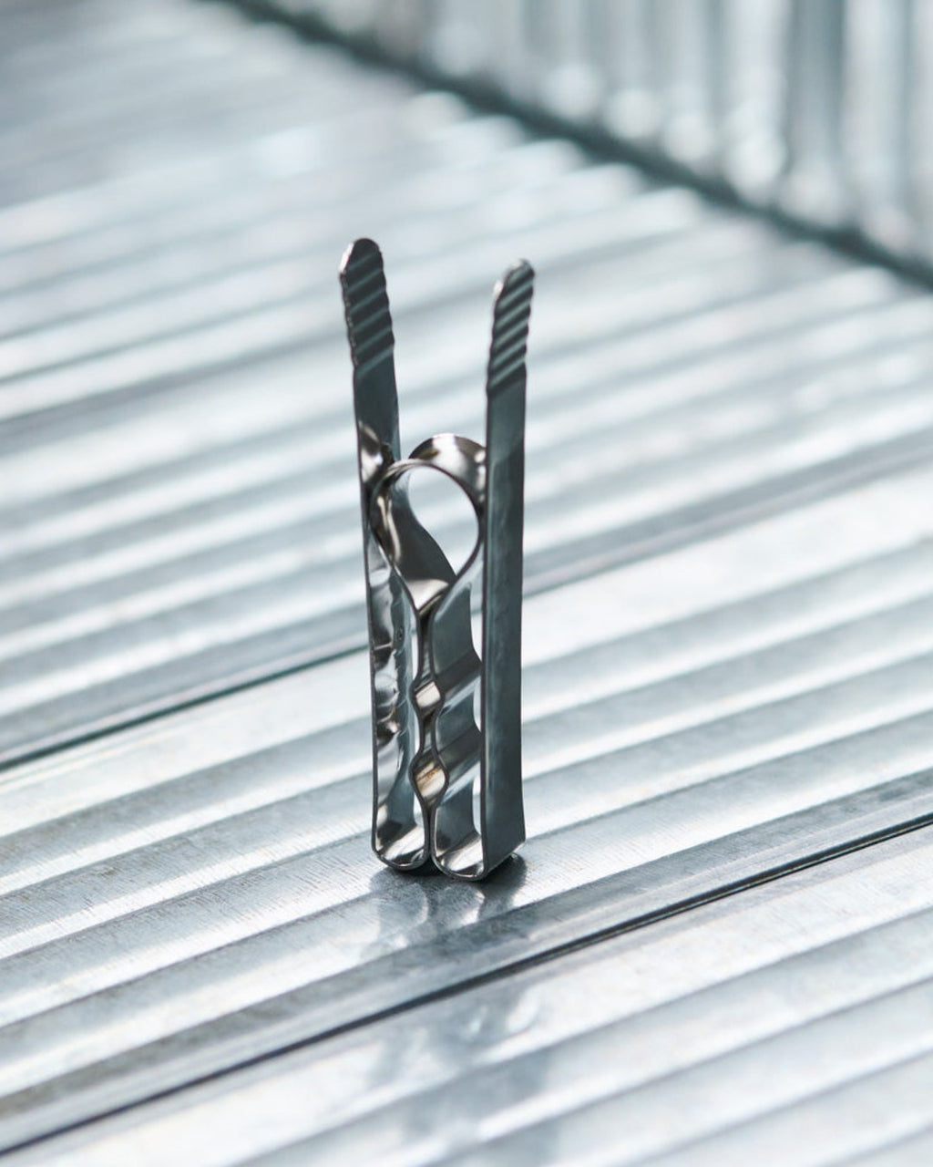 Chevalier - Stainless Steel Clothespin