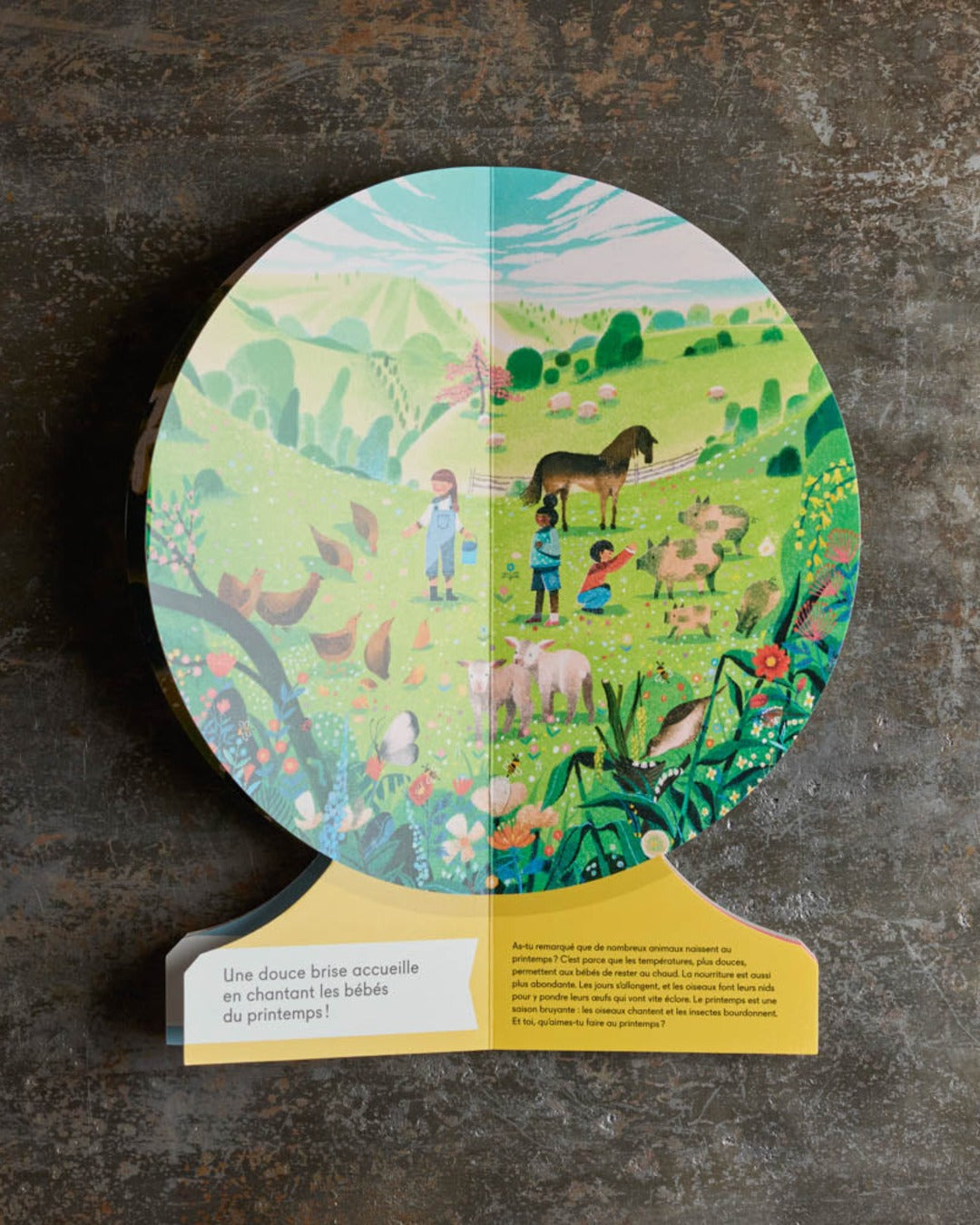 Phaidon Jeunesse - Livre Les Saisons