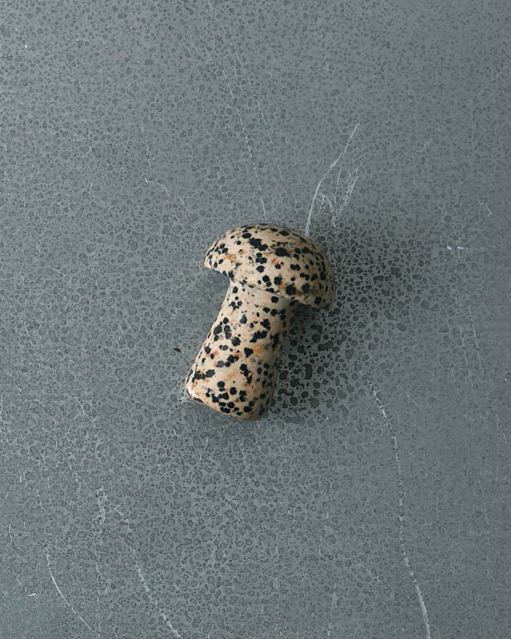 Herbar - Gua Shroom Dalmatian