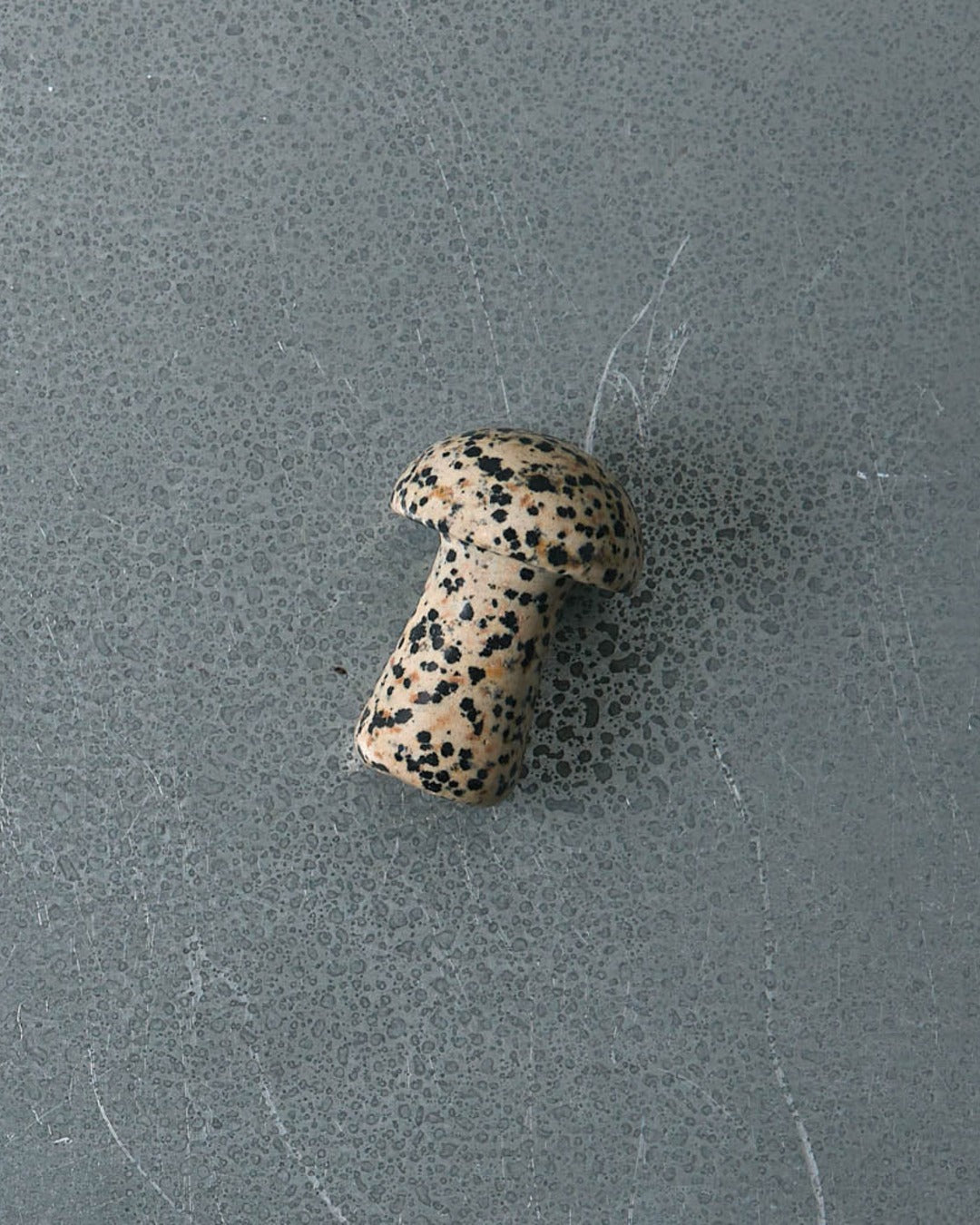 Herbar - Gua Sha Tool - Dalmatian