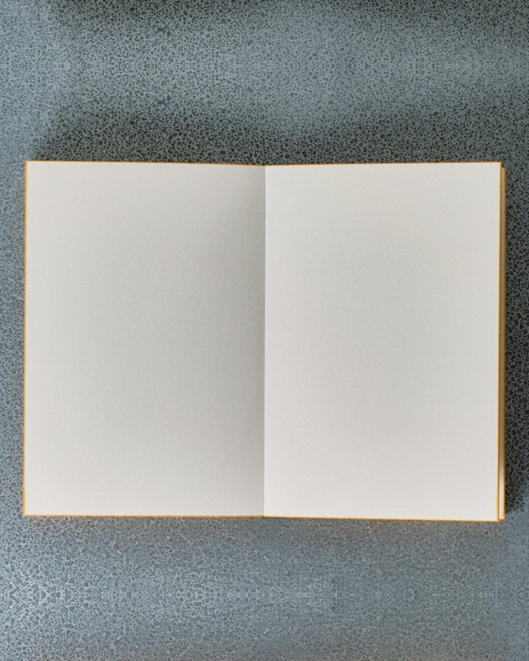 Slow - Inferno Dante Notebook