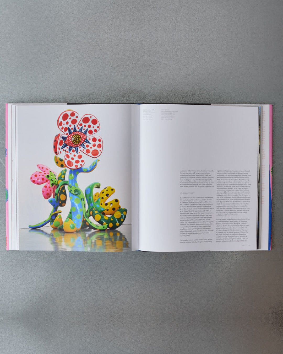 Phaidon - Yayoi Kusama Livre