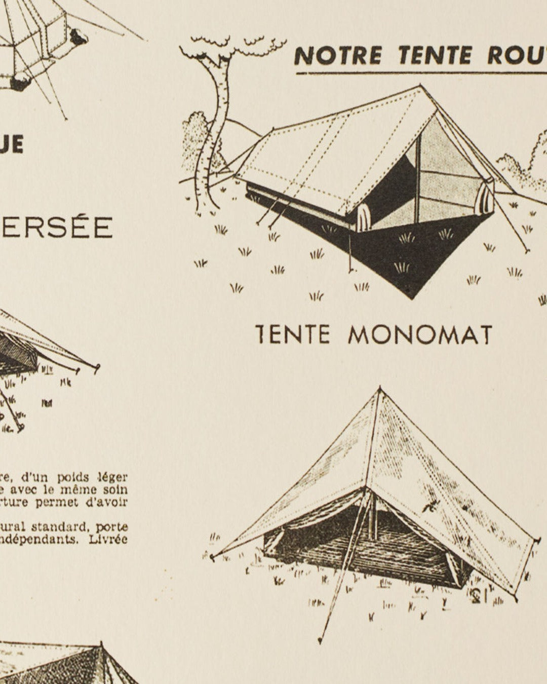Au Vieux Campeur - Congés Payés - Poster Au Vieux Campeur - Tent