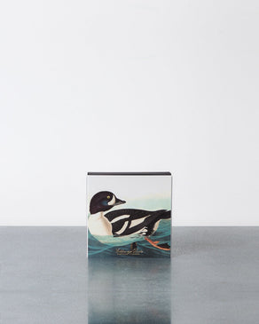 Canard
