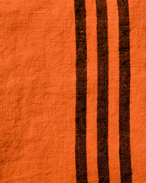 Orange Zeste