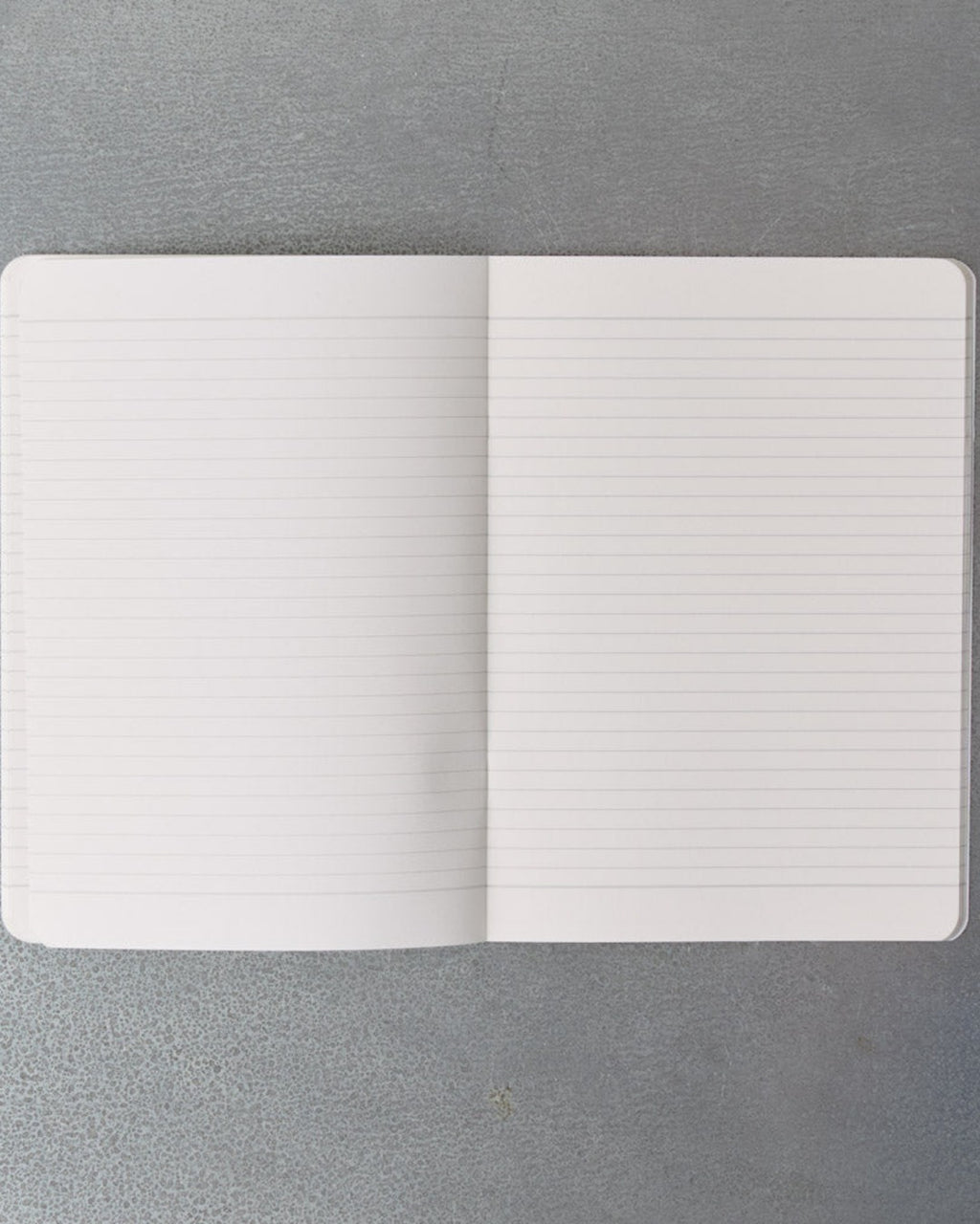 Merci - Carnet Holographique