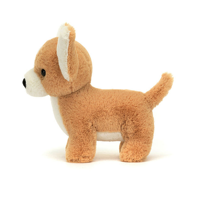 Peluche - Chihuahua