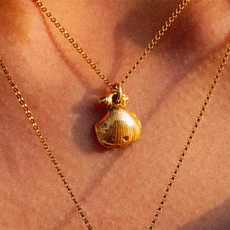 Fontennoy - Collier Coquille - Or