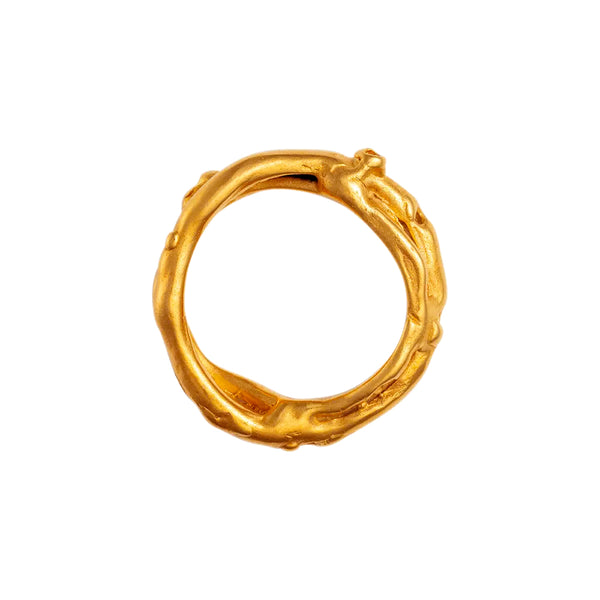 Fontennoy - Bague Nœuds Marins - Or