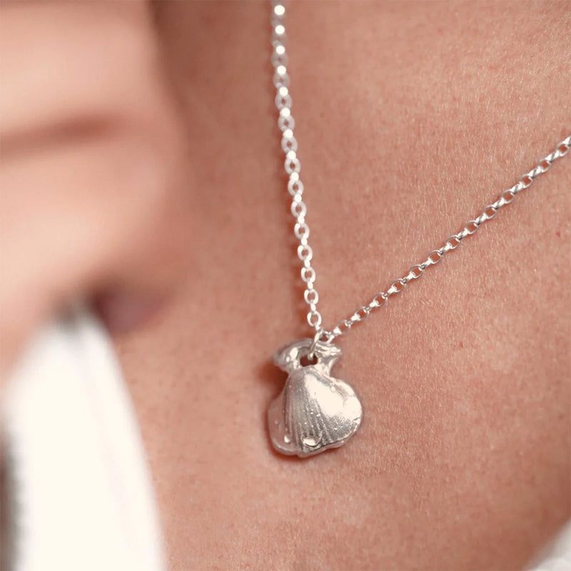 Fontennoy - Collier Coquille - Argent
