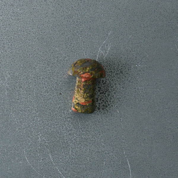 Gua Shroom - Unakite