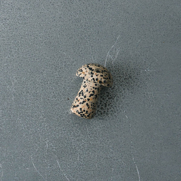 Gua Shroom - Dalmatian