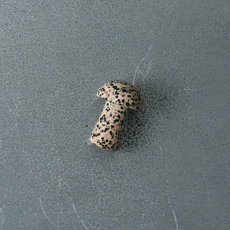 Gua Shroom - Dalmatian