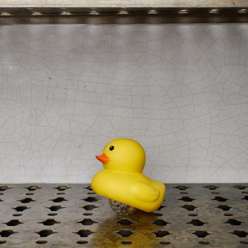 Lampe - Canard Boogie