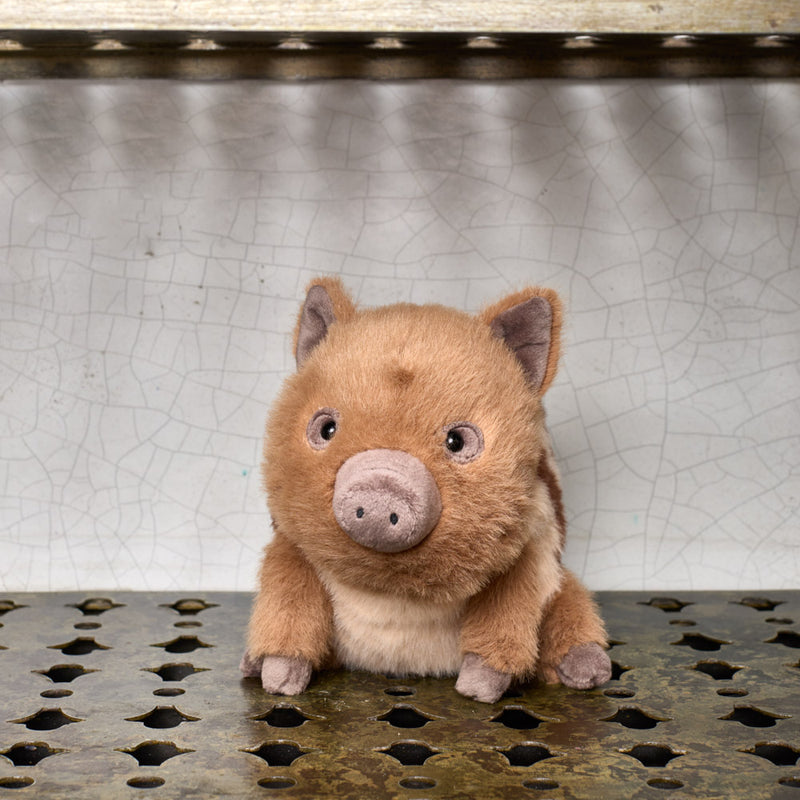 Peluche - Sanglier