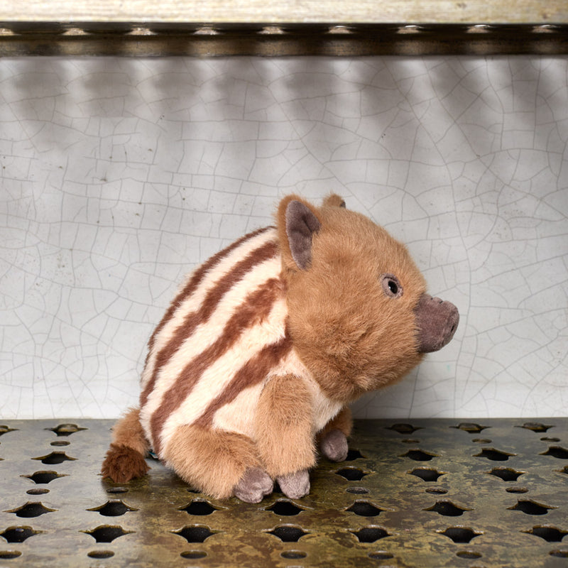 Peluche - Sanglier