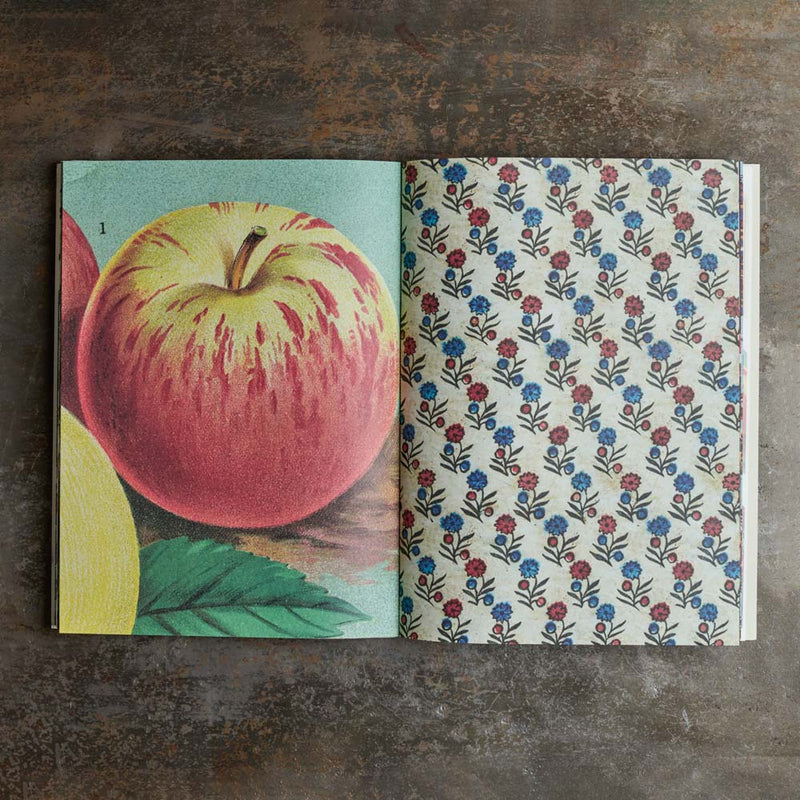 Livre - John Derian - Papiers cadeaux et étiquettes