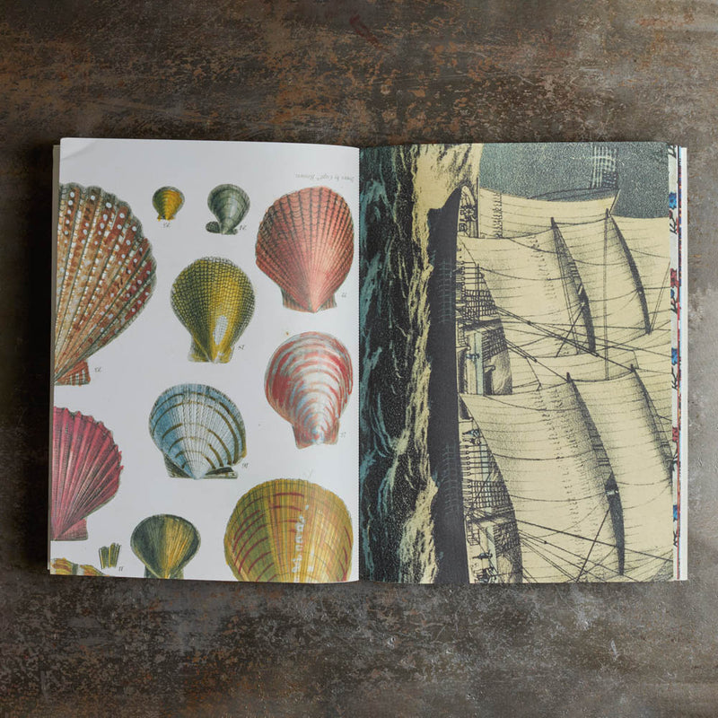 Livre - John Derian - Papiers cadeaux et étiquettes