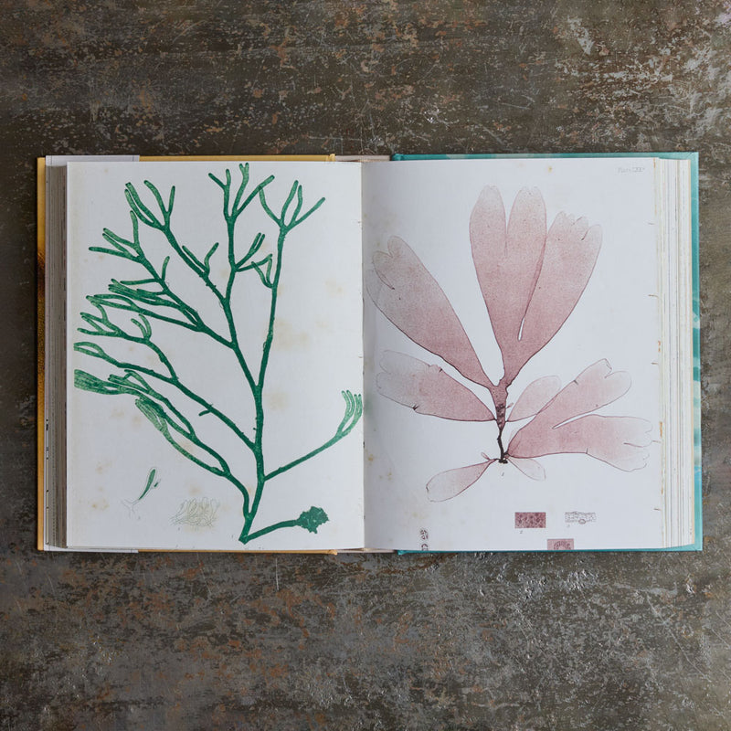 Livre - John Deran Stickers Book