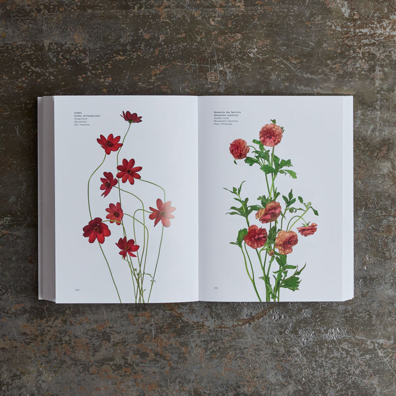 Livre - Guide des fleurs par couleurs
