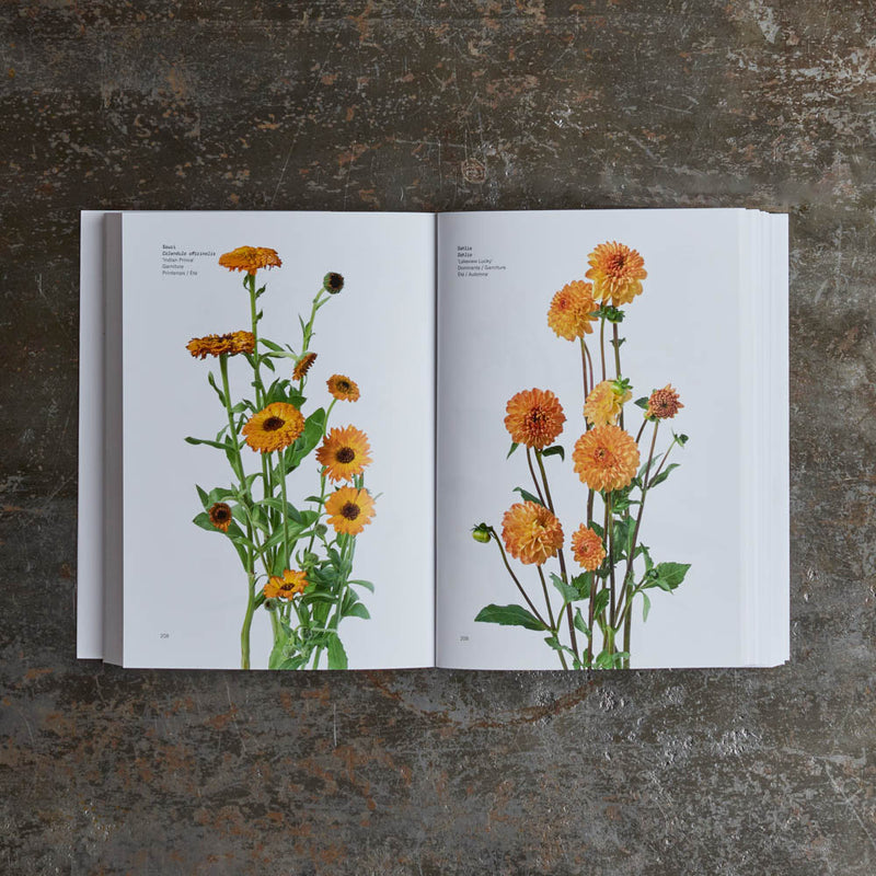 Livre - Guide des fleurs par couleurs