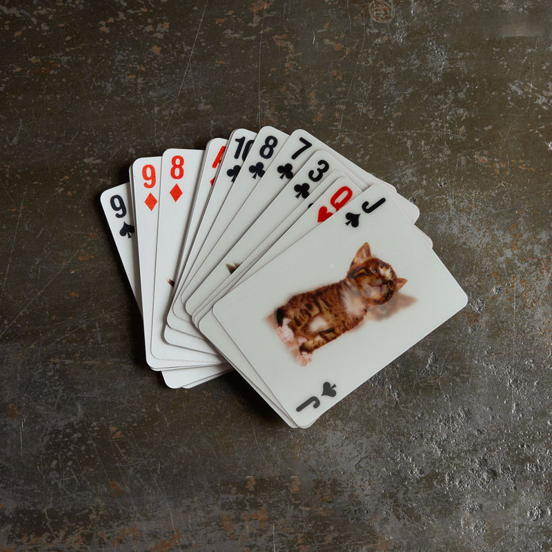 Jeu de cartes 3D - Chats