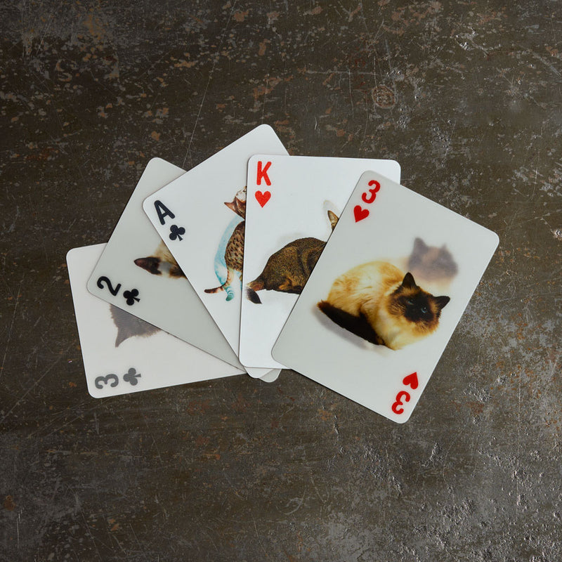 Jeu de cartes 3D - Chats
