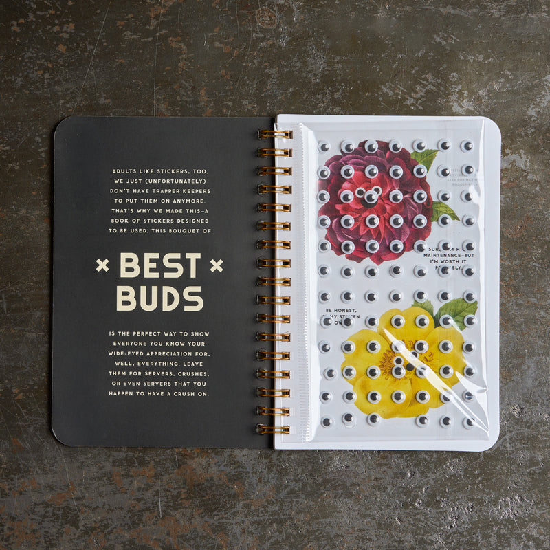 Livre - Best Buds Googly Sticker Book